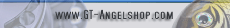GT-Angelshop
