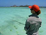 Bonefish Los Roques