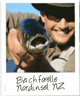 Angeln in Neuseeland