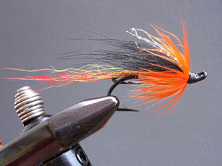 Angelurlaub, Angelreisen, Urlaubsangeln, Lachsangeln, Forellenangeln, pilken, Zwillingsfliege, Lachsfliege, Lachsfliegen, Haarfliege, Tubenfliege, Angeln, Fliegenfischen, Angeln Norwegen, Angeln Schweden, Angeln Finnland, Angeln Dänemark, Lachs, Salm, Skandinavien, Fischen, Lachsrute, Zweihand, Zweihandrute, Lachsrolle, Speycast, Speyschnur, Fangbeschränkung, 15 kilo, 15 kg